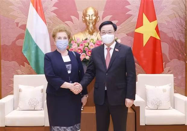 Le président de l’AN reçoit la première vice-présidente de l’AN hongroise ảnh 1