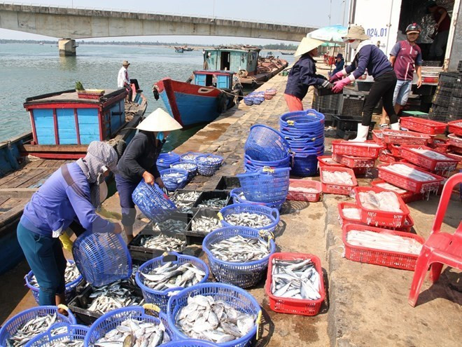 L'assistance opportune aux personnes touchées par l'hécatombe de poissons ảnh 1 L'assistance opportune aux personnes touchées par l'hécatombe de poissons ảnh 1