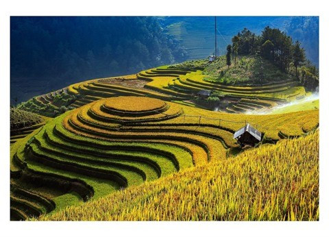 CNBC fait l'éloge de la beauté de Mu Cang Chai ảnh 1 CNBC fait l'éloge de la beauté de Mu Cang Chai ảnh 1