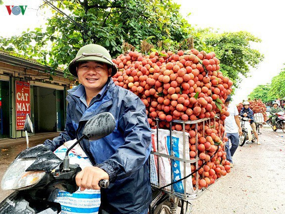 Les fruits vietnamiens continuent de conquérir des marchés difficiles ảnh 1 Les fruits vietnamiens continuent de conquérir des marchés difficiles ảnh 1