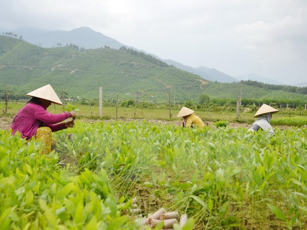 ASEM : le Vietnam promeut les Objectifs de Développement durable ảnh 1 ASEM : le Vietnam promeut les Objectifs de Développement durable ảnh 1