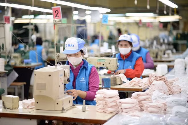Le textile du Vietnam augmente ses parts de marché aux États-Unis ảnh 1 Le textile du Vietnam augmente ses parts de marché aux États-Unis ảnh 1