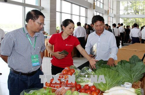 Promotion de l'import-export des produits agricoles entre Lao Cai et le Yunnan ảnh 1 Promotion de l'import-export des produits agricoles entre Lao Cai et le Yunnan ảnh 1
