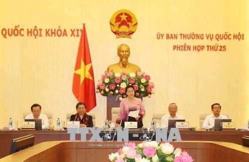 Clôture de la 25e réunion du Comité permanent de l’Assemblée nationale ảnh 1