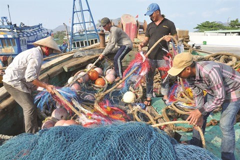 L'avertissement ‘’carte jaune’’ affecte l'exportation de fruits de mer vietnamiens vers l'UE ảnh 1 L'avertissement ‘’carte jaune’’ affecte l'exportation de fruits de mer vietnamiens vers l'UE ảnh 1