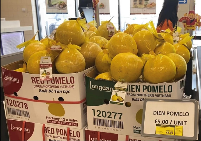 Les produits agricoles vietnamiens s'implantent sur le marché britannique ảnh 1 Les produits agricoles vietnamiens s'implantent sur le marché britannique ảnh 1