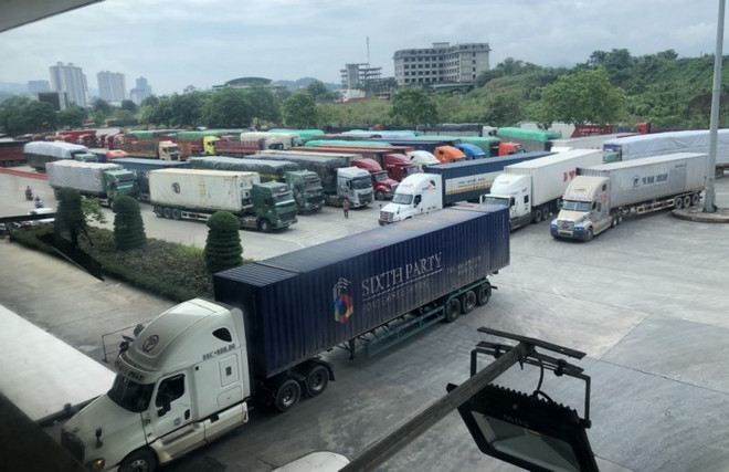 Quang Ninh réalise un chiffre d'affaires à l’export de 3,1 milliards de dollars en 9 mois ảnh 1 Quang Ninh réalise un chiffre d'affaires à l’export de 3,1 milliards de dollars en 9 mois ảnh 1