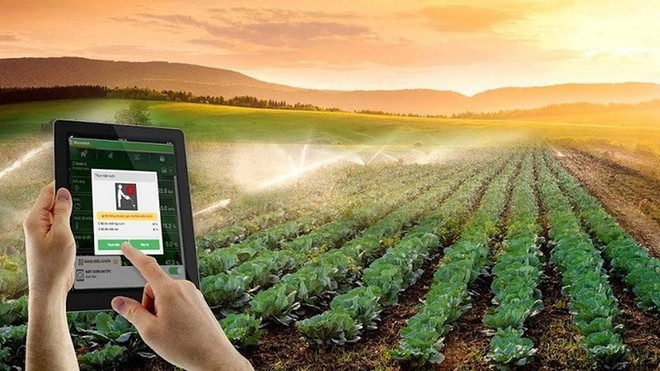 Vers une agriculture durable grâce aux applications scientifique et technologique ảnh 1 Vers une agriculture durable grâce aux applications scientifique et technologique ảnh 1