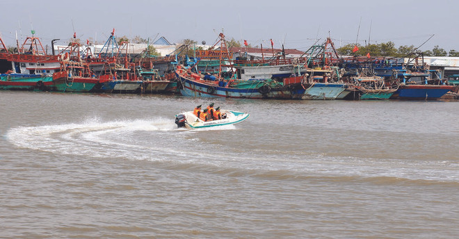 Pêche INN : redoubler d’efforts pour lever le “carton jaune” ảnh 1 Pêche INN : redoubler d’efforts pour lever le “carton jaune” ảnh 1