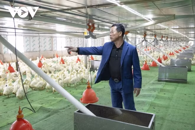 Quang Ninh mise sur la transformation numérique pour développer son élevage ảnh 1 Quang Ninh mise sur la transformation numérique pour développer son élevage ảnh 1
