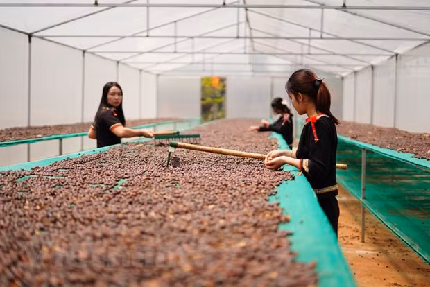 L'empreinte des secteurs d'exportation atteignant un chiffre d'affaires de 10 milliards de dollars ảnh 2