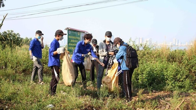 Plus de 700 jeunes nettoient la péninsule de Son Trà ảnh 1