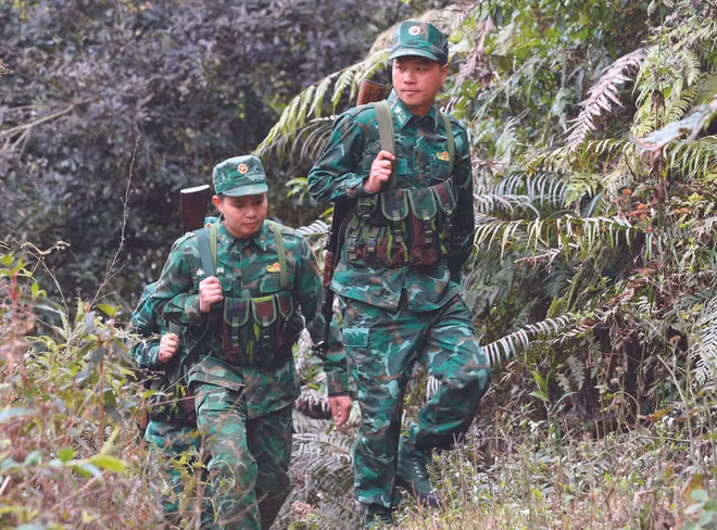 Lutte contre le trafic de drogue dans le Nord-Ouest ảnh 1
