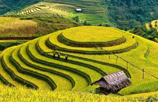 Baie d’Ha Long et Mu Cang Chai parmi les destinations les plus colorées du monde ảnh 1
