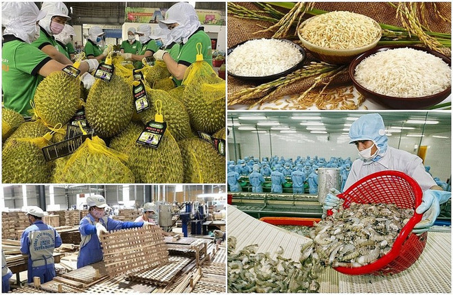 Vers une agriculture durable grâce aux applications scientifique et technologique ảnh 2 Vers une agriculture durable grâce aux applications scientifique et technologique ảnh 2