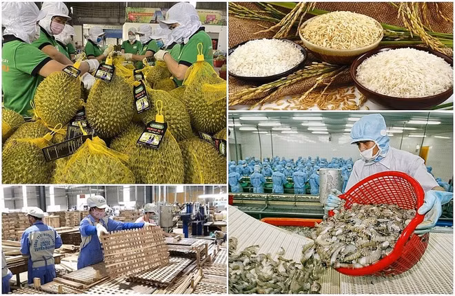 Vers une agriculture durable grâce aux applications scientifique et technologique ảnh 2
