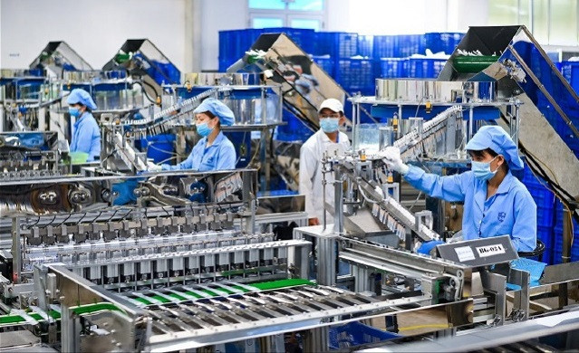 Les IDE s'orientent vers la croissance verte ảnh 2