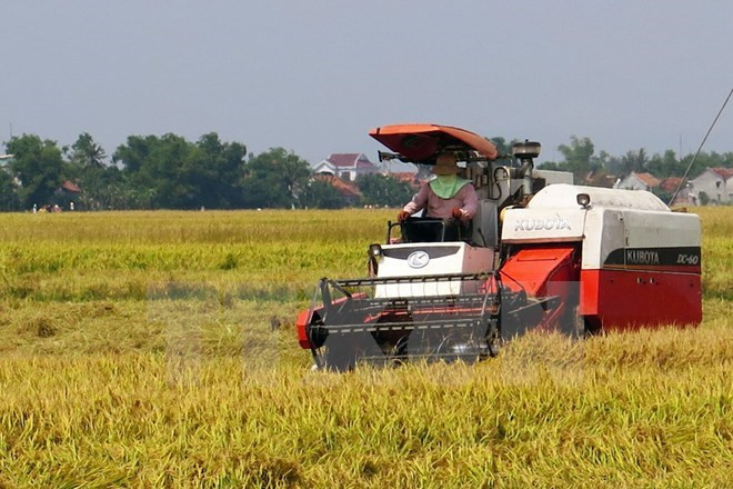 Développement de la chaîne de valeur agricole de la sub-région du Mékong ảnh 1 Développement de la chaîne de valeur agricole de la sub-région du Mékong ảnh 1
