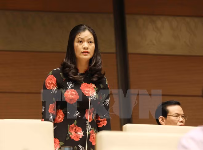 Les députés débattent de la lutte anti-corruption ảnh 1