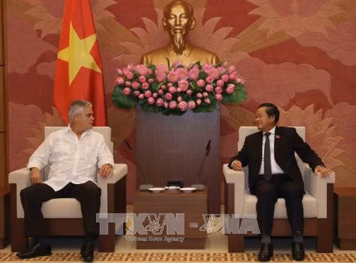 Le vice-président de l’AN Dô Ba Ty reçoit un reponsable cubain ảnh 1