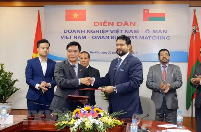 Les entreprises omanaises en quête d'opportunités au Vietnam ảnh 1 Les entreprises omanaises en quête d'opportunités au Vietnam ảnh 1