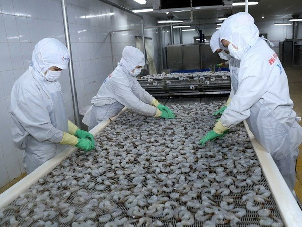 Le Vietnam est déterminé au développement durable des produits aquatiques ảnh 1 Le Vietnam est déterminé au développement durable des produits aquatiques ảnh 1