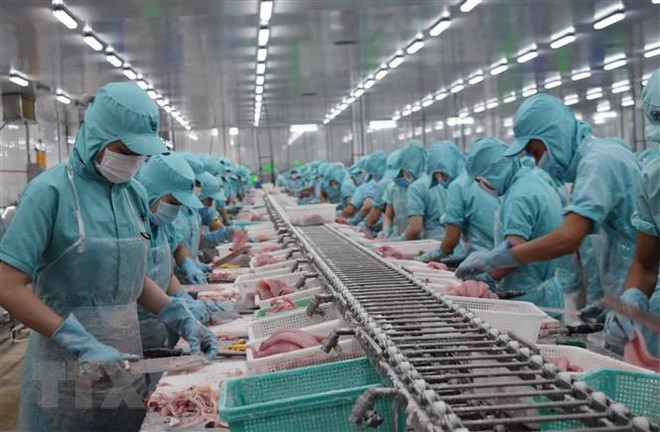Le Vietnam cherche des opportunités de coopération et d'investissement en Afrique ảnh 1 Le Vietnam cherche des opportunités de coopération et d'investissement en Afrique ảnh 1