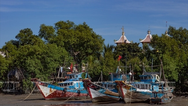 La commune insulaire de Thanh An fait peau neuve ảnh 1