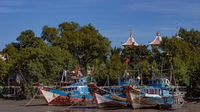 La commune insulaire de Thanh An fait peau neuve ảnh 1