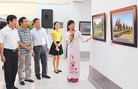 Hai Phong : le Vietnam en photos ảnh 1