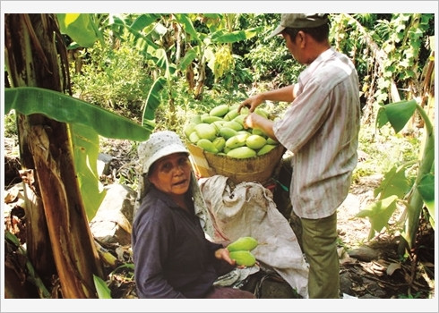 La montagne aux jardiniers acrobates ảnh 1 La montagne aux jardiniers acrobates ảnh 1
