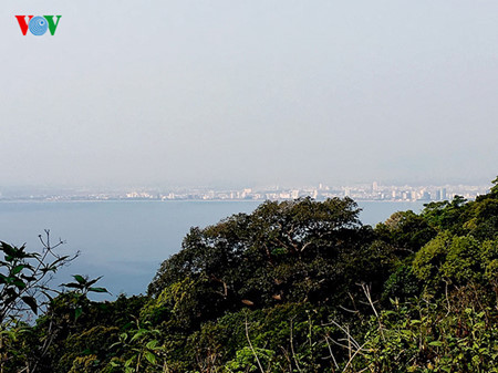 Découvrir la péninsule de Son Trà à Dà Nang ảnh 7 Découvrir la péninsule de Son Trà à Dà Nang ảnh 7