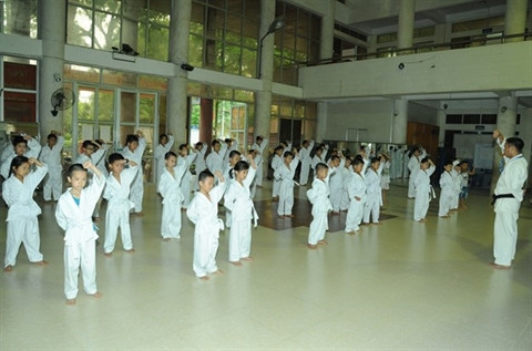 Un été des plus actifs pour les jeunes saigonais ảnh 1 Un été des plus actifs pour les jeunes saigonais ảnh 1