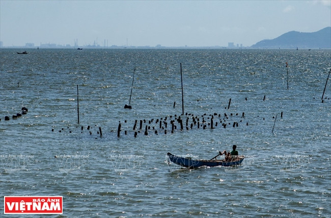 La commune insulaire de Thanh An fait peau neuve ảnh 2