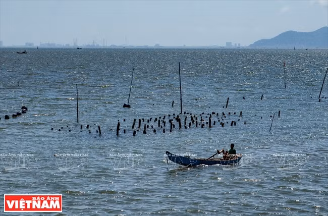 La commune insulaire de Thanh An fait peau neuve ảnh 2