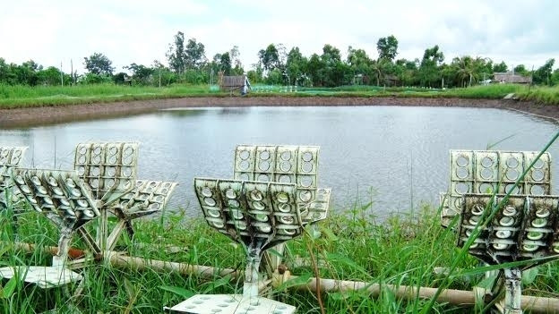 Cà Mau aide les habitants à rétablir leur production ảnh 1 Cà Mau aide les habitants à rétablir leur production ảnh 1