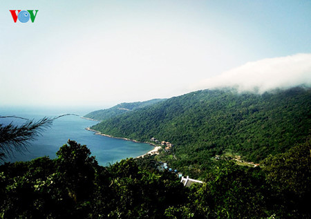 Découvrir la péninsule de Son Trà à Dà Nang ảnh 6 Découvrir la péninsule de Son Trà à Dà Nang ảnh 6