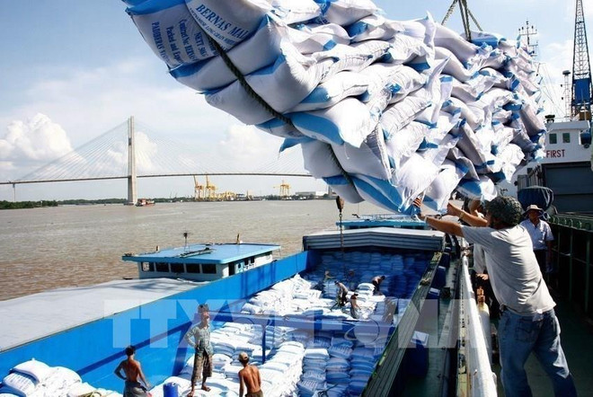 L’économie vietnamienne continue de se redresser et de se développer rapidement ảnh 1 L’économie vietnamienne continue de se redresser et de se développer rapidement ảnh 1
