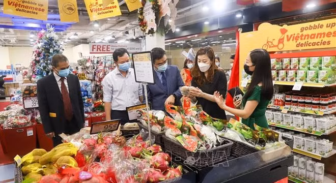 Pour approcher les produits vietnamiens aux consommateurs singapouriens ảnh 1 Pour approcher les produits vietnamiens aux consommateurs singapouriens ảnh 1