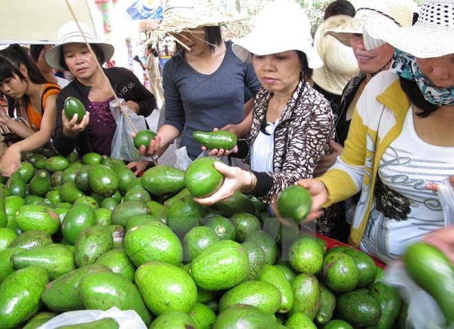 Ouverture du festival des fruits du Nam Bo 2017 ảnh 1 Ouverture du festival des fruits du Nam Bo 2017 ảnh 1
