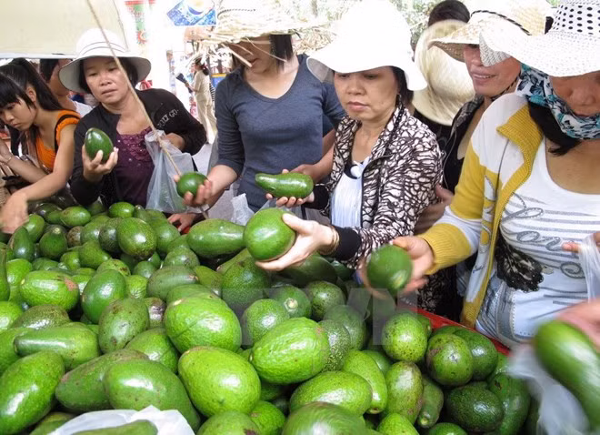 Ouverture du festival des fruits du Nam Bo 2017 ảnh 1