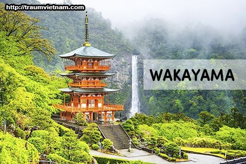 Perspectives de coopération multi-sectorielle entre la ville de Can Tho et le Japon ảnh 1 Perspectives de coopération multi-sectorielle entre la ville de Can Tho et le Japon ảnh 1