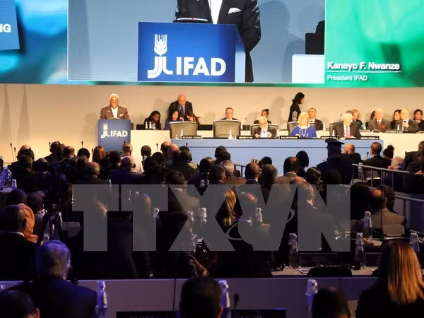 Le Vietnam à la conférence annuelle du conseil administratif de l’IFAD ảnh 1