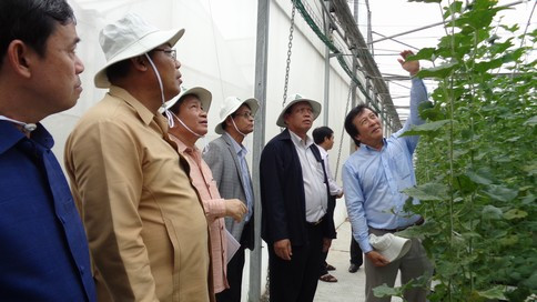 Hô Chi Minh-Ville et Champassak renforcent leurs relations de coopération ảnh 1 Hô Chi Minh-Ville et Champassak renforcent leurs relations de coopération ảnh 1