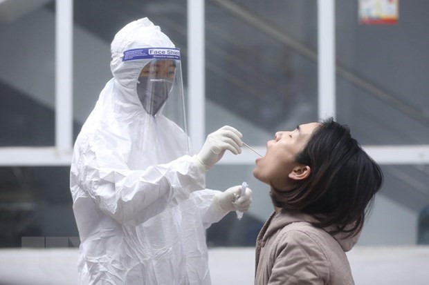 Le nouveau variant du COVID-19 identifié en Afrique du Sud chez un cas importé ảnh 1