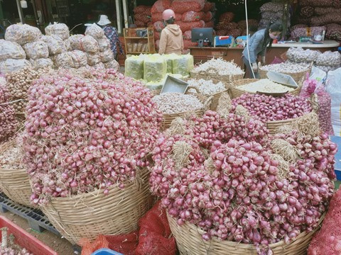 Sécurité alimentaire pour le Nouvel An lunaire ảnh 1 Sécurité alimentaire pour le Nouvel An lunaire ảnh 1