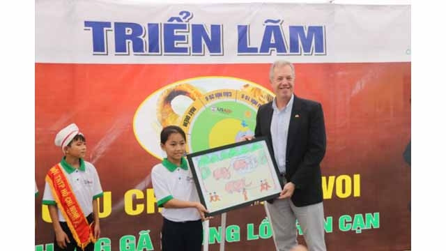 Création d’une zone de préservation des éléphants à Quang Nam ảnh 1 Création d’une zone de préservation des éléphants à Quang Nam ảnh 1