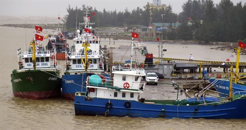 Le rétablissement des activités de pêche suite au scandale de Formosa ảnh 2 Le rétablissement des activités de pêche suite au scandale de Formosa ảnh 2