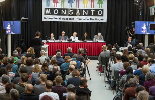 Monsanto accusée d’« écocide » par un tribunal international ảnh 1 Monsanto accusée d’« écocide » par un tribunal international ảnh 1