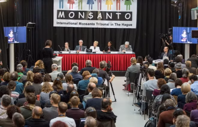 Monsanto accusée d’« écocide » par un tribunal international ảnh 1